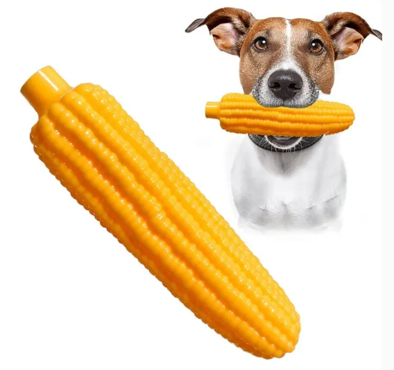 Corn Squeaky Toy