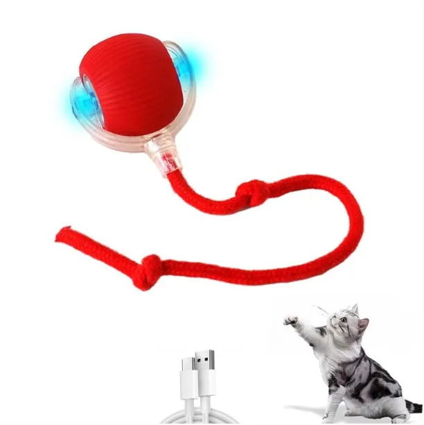 Electric Dogs Rolling Ball with Speedy Tail Rope