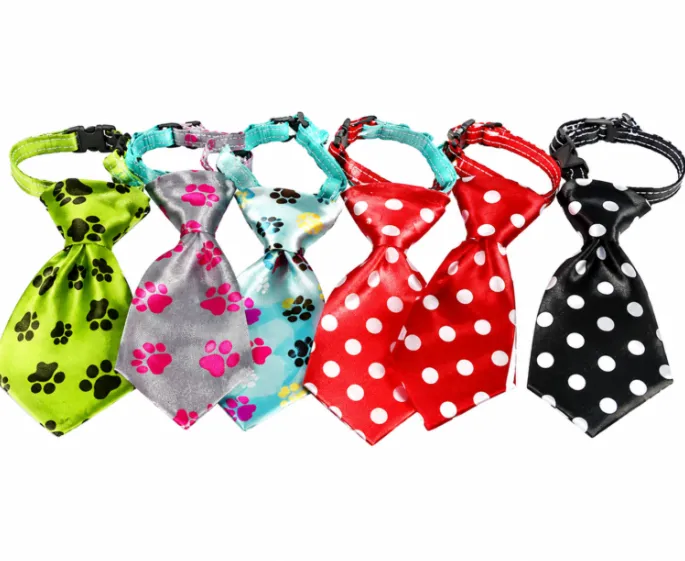 Pet Necktie Collar – Mixed