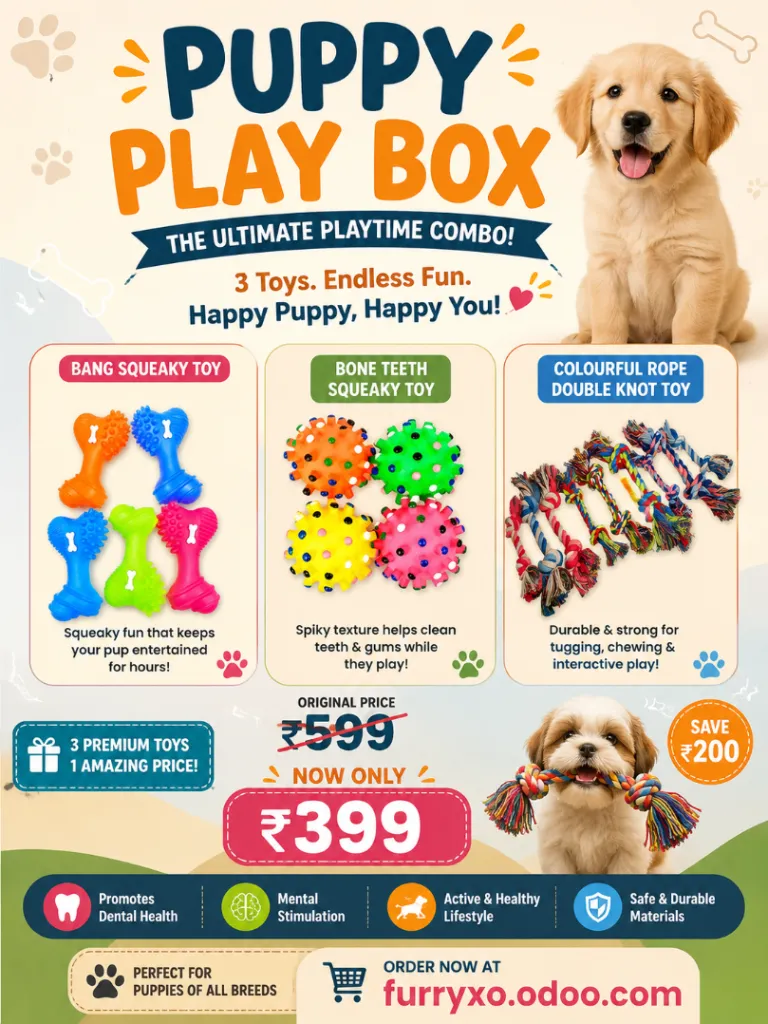 Puppy Play Box(Dogs)