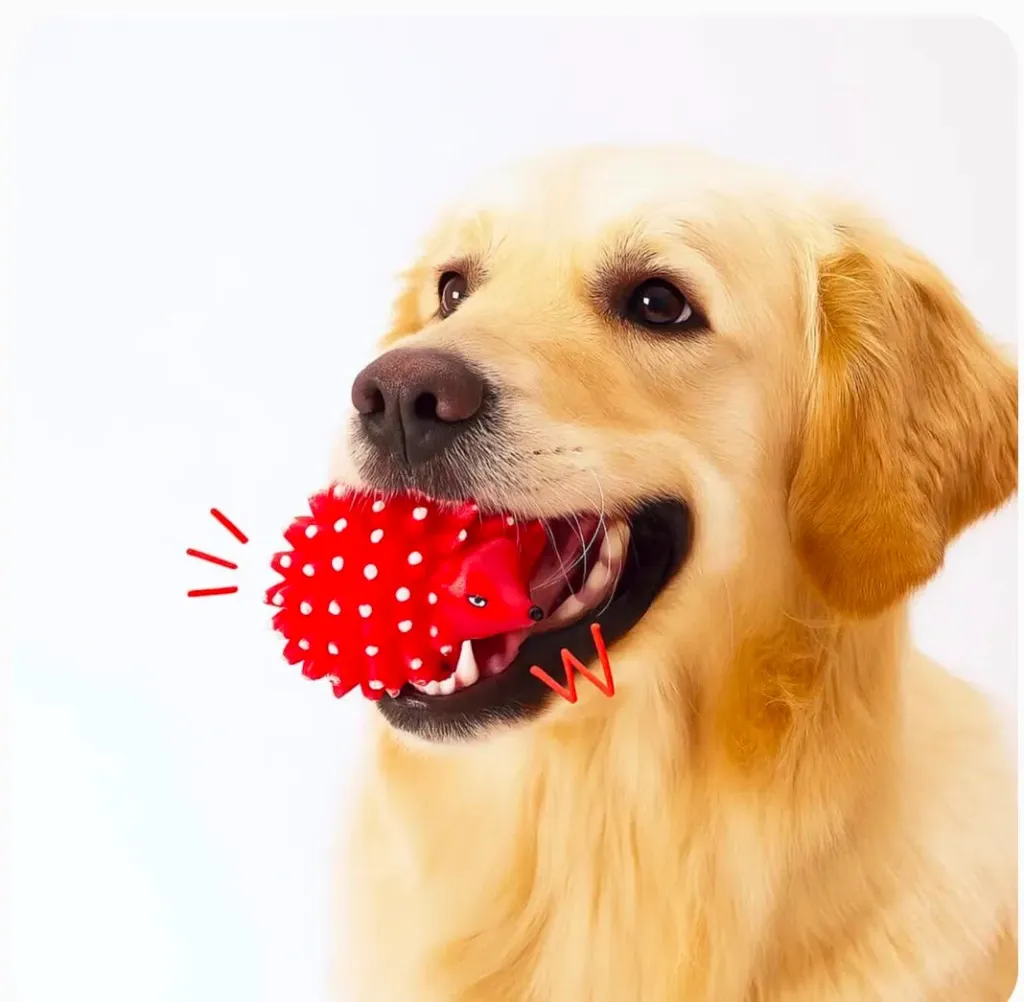 Hedgehog Squeaky Toy